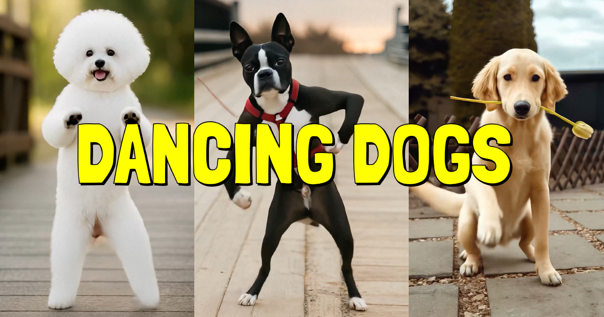 Turn dog pics into dancing dog videos via AI (app)